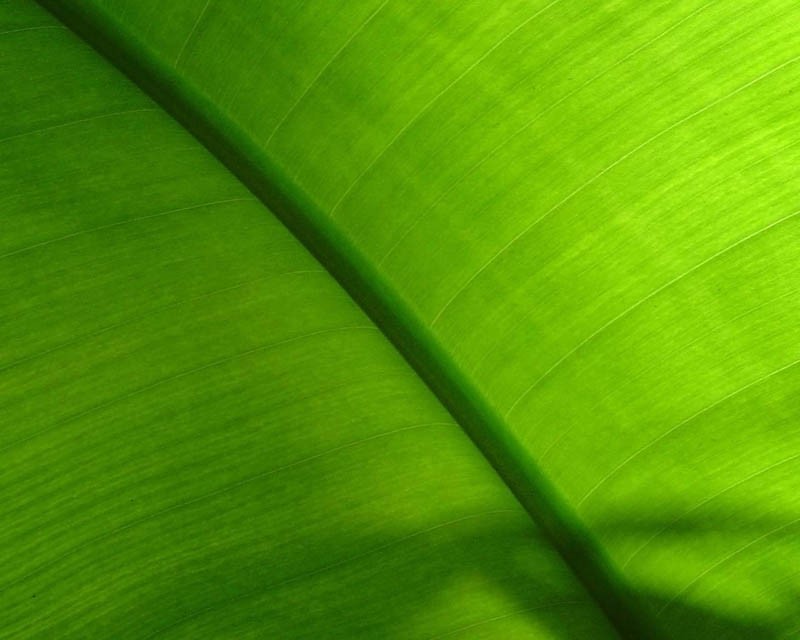 数字货币交易 币安登录网址的正确使用方法